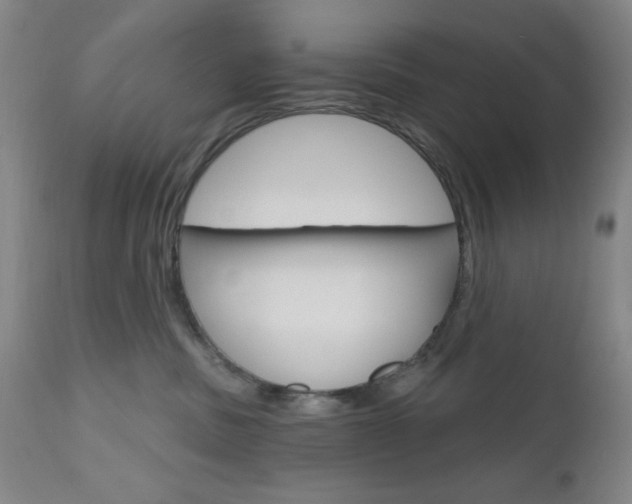 X0000111000379200906191149