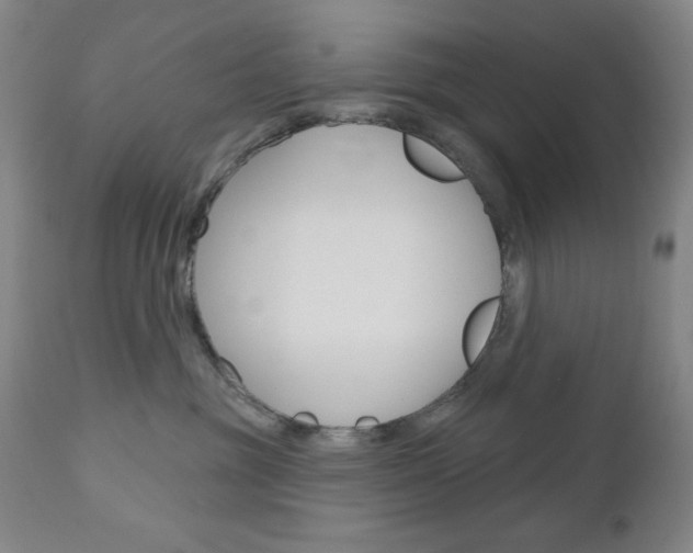 X0000111000381200906191149
