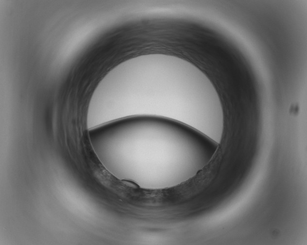 X0000111000382200906191149