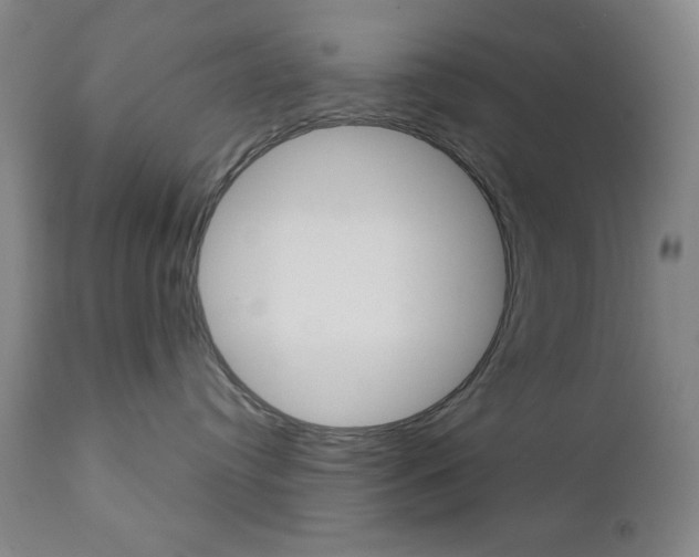 X0000111000384200906191149