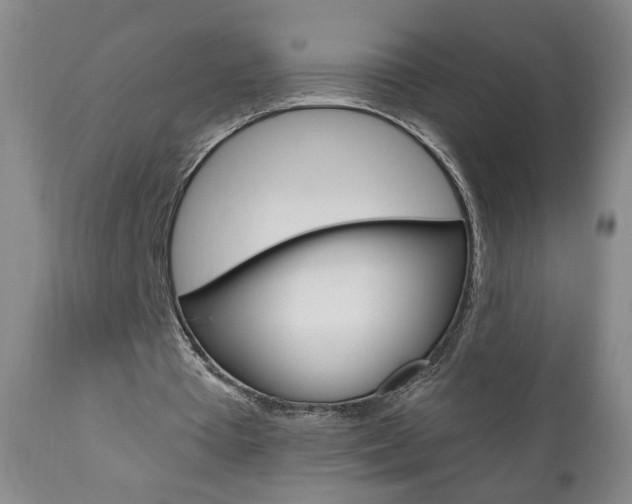 X0000111000385200906191149