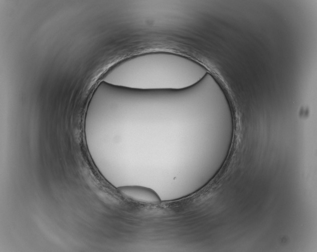X0000111000386200906191149