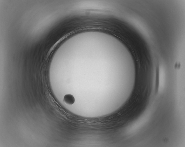 X0000111000387200906191149