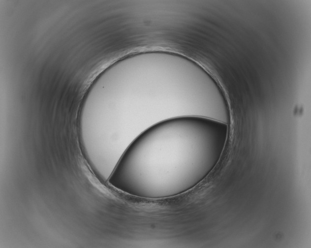 X0000111000389200906191149