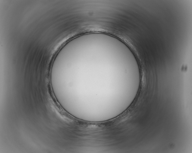 X0000111000390200906191149
