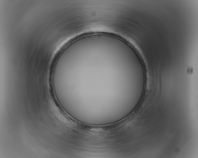 X0000111000391200906191149
