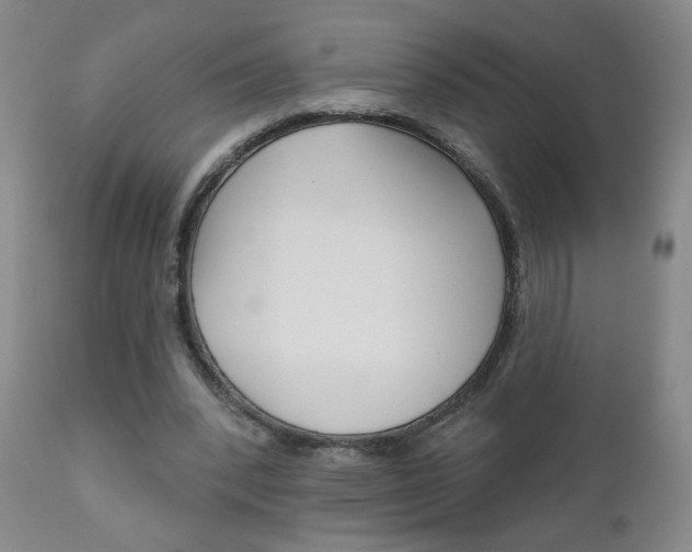 X0000111000392200906191149