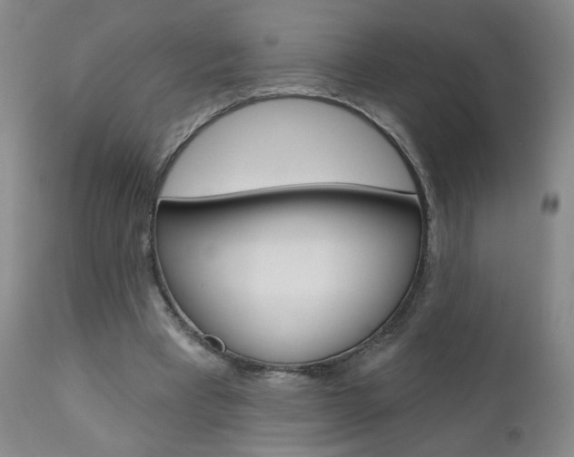 X0000111000393200906191149