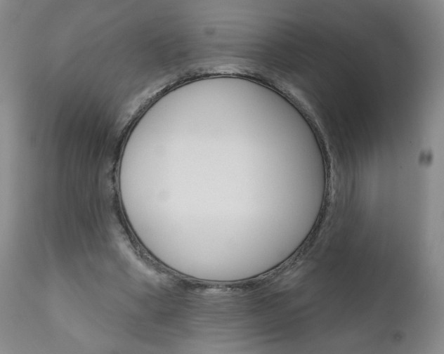 X0000111000394200906191149