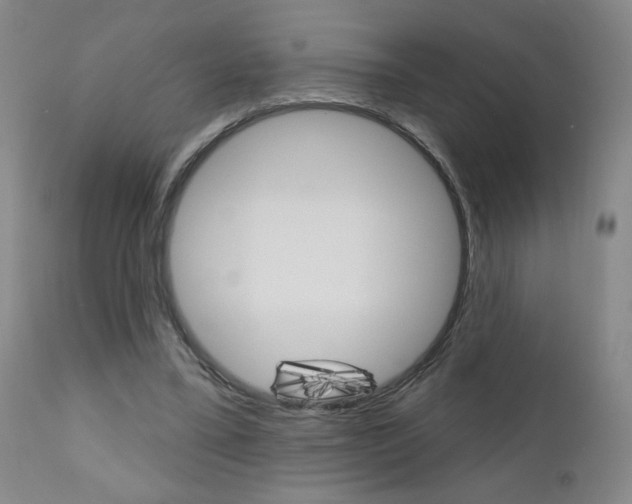 X0000111000395200906191149