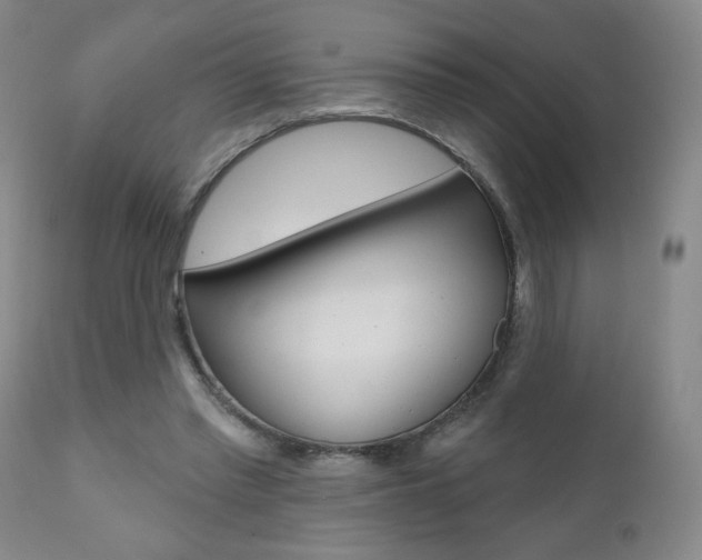 X0000111000397200906191149