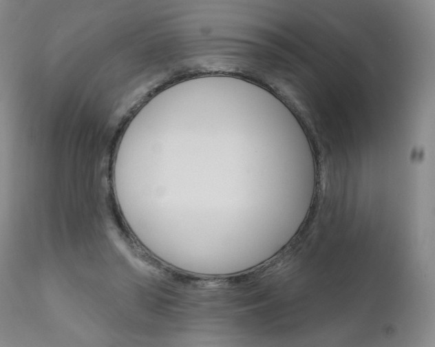 X0000111000398200906191149