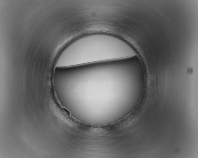 X0000111000399200906191149