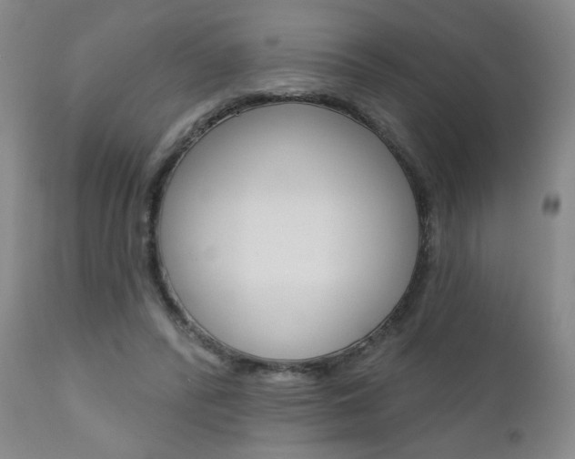 X0000111000400200906191149