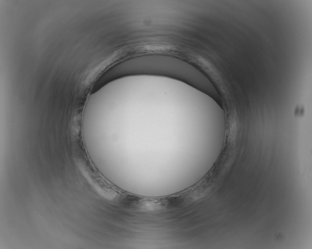 X0000111000405200906191148