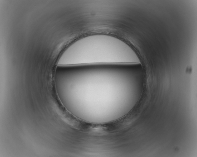 X0000111000407200906191148