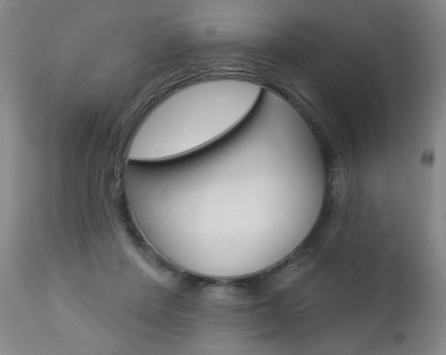 X0000111000408200906191148
