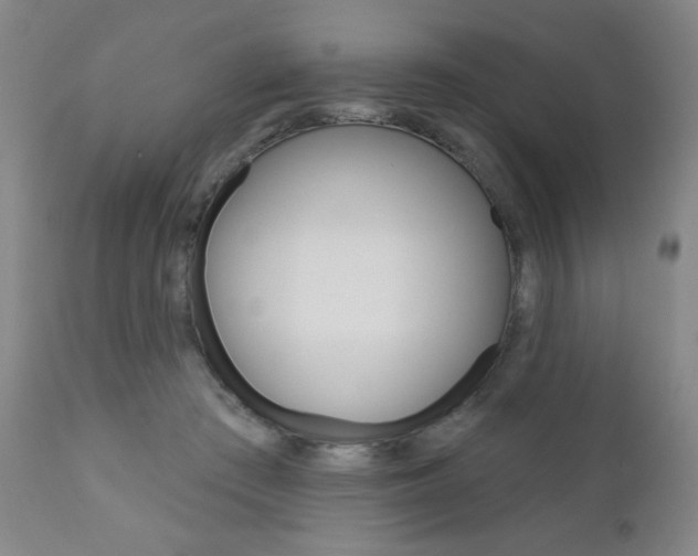 X0000111000409200906191148