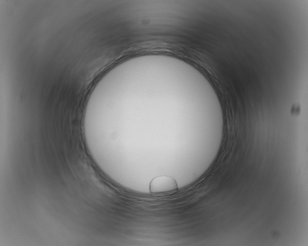 X0000111000411200906191148