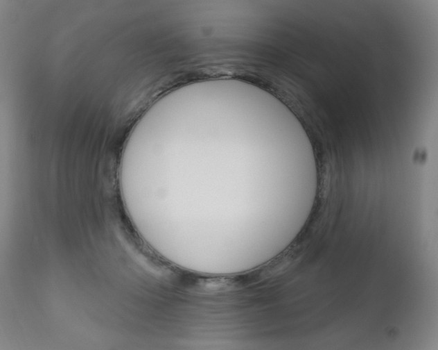 X0000111000414200906191148