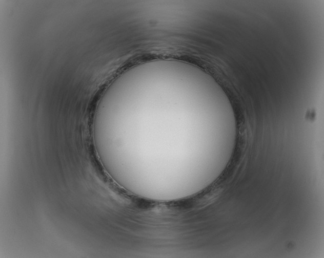 X0000111000416200906191148