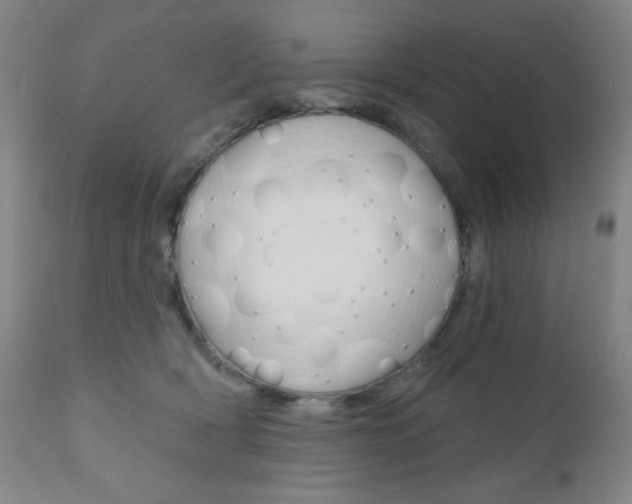 X0000111000418200906191148