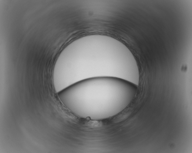 X0000111000421200906191148