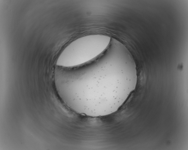 X0000111000424200906191148