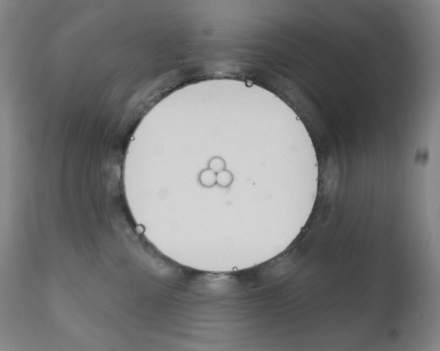 X0000111000427200906191148