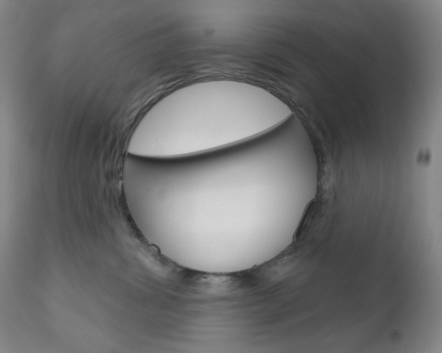 X0000111000428200906191148
