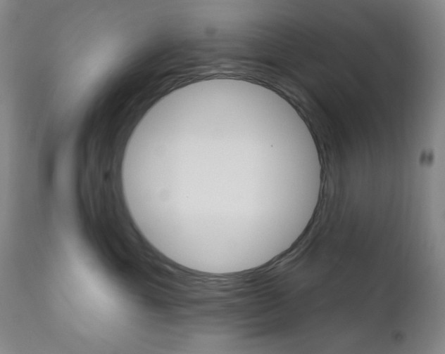 X0000111000429200906191148