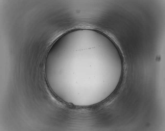 X0000111000433200906191147