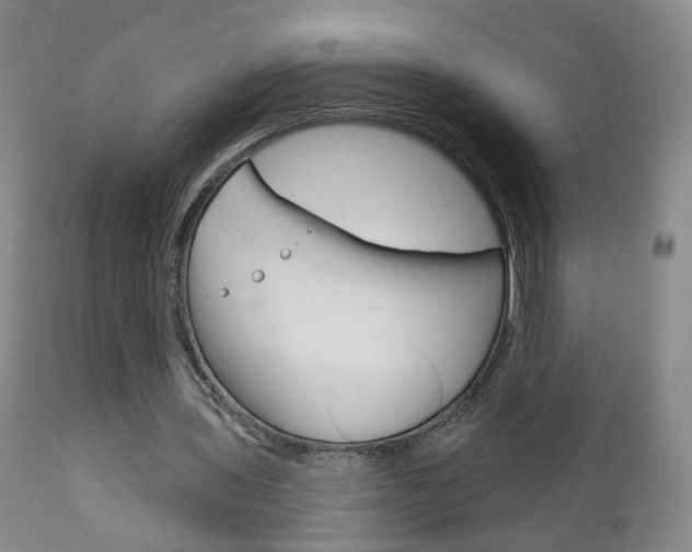 X0000111000435200906191147