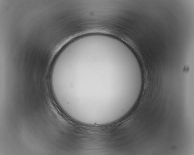 X0000111000436200906191147