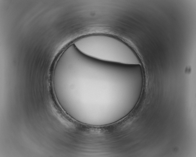 X0000111000439200906191147