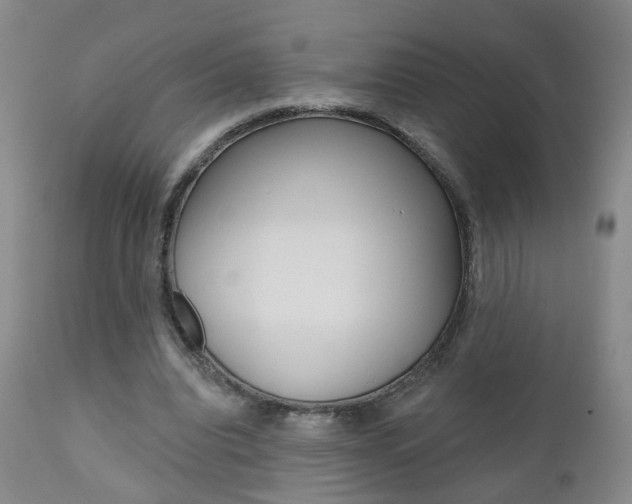 X0000111000440200906191147