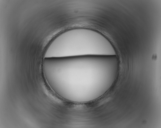 X0000111000446200906191147