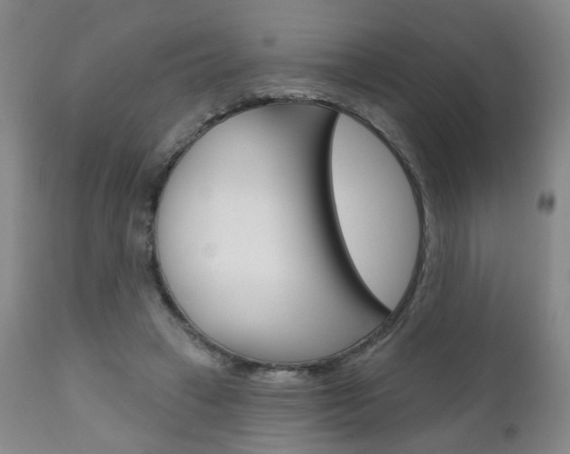 X0000111000449200906191147