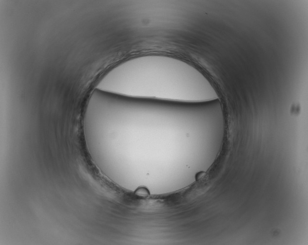 X0000111000451200906191147