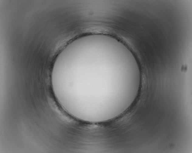 X0000111000453200906191148