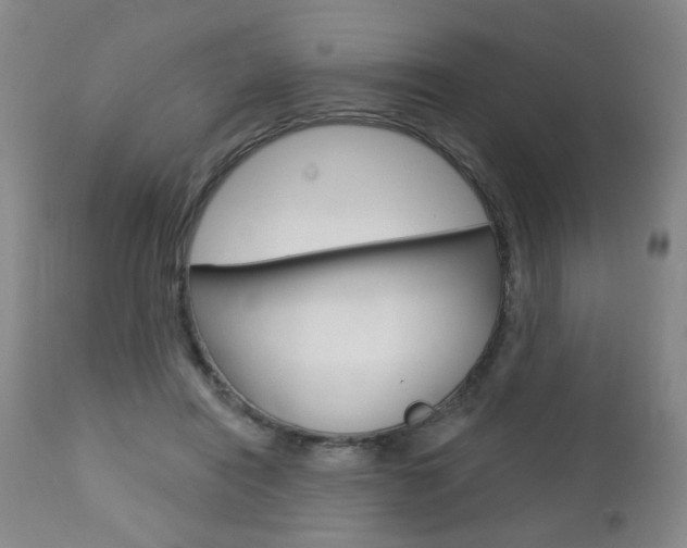 X0000111000454200906191148