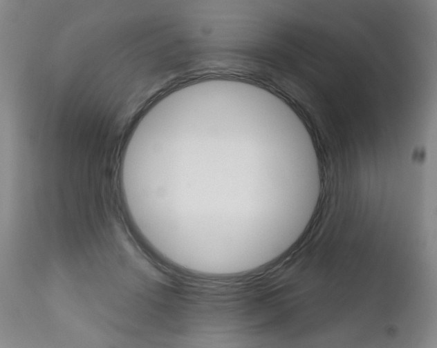 X0000111000456200906191148