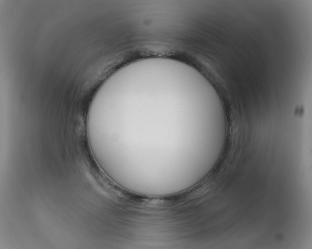 X0000111000459200906191148
