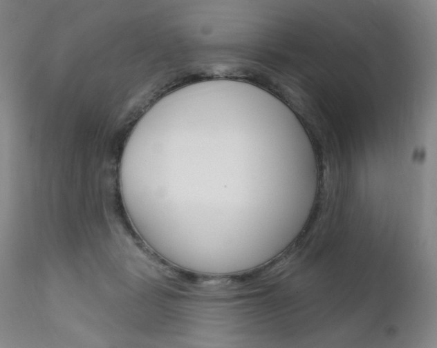 X0000111000461200906191148