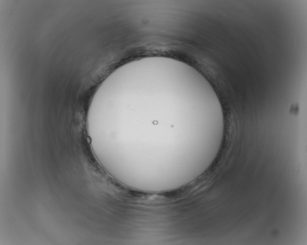 X0000111000463200906191148