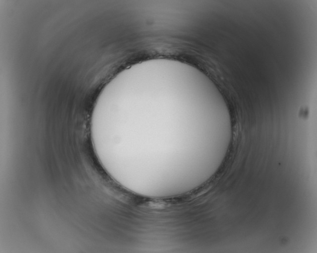 X0000111000464200906191148