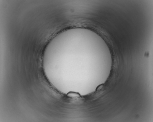 X0000111000465200906191148