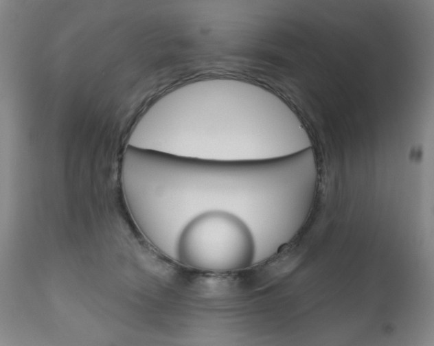 X0000111000466200906191148