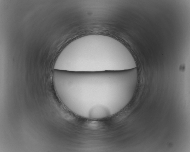 X0000111000467200906191148