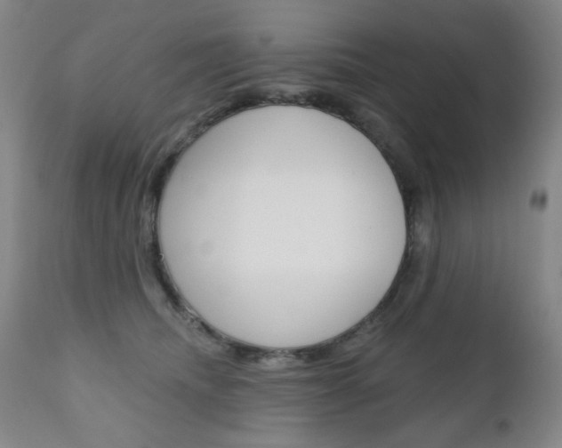 X0000111000468200906191148